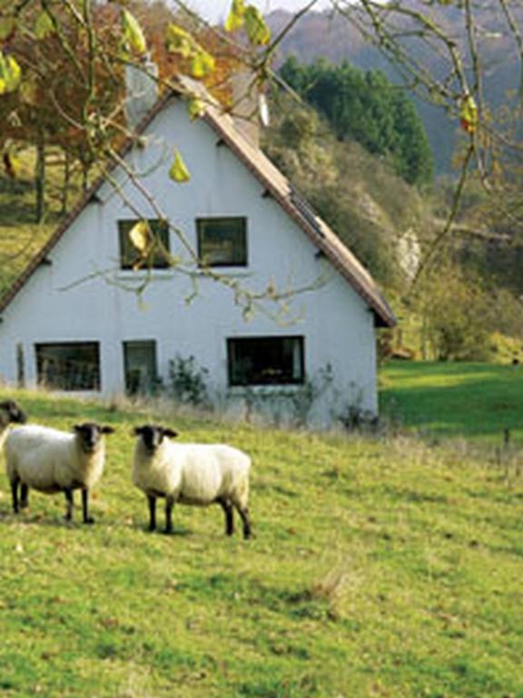 Chambre D'Hotes Les Champarts Tourville-la-Chapelle ภายนอก รูปภาพ