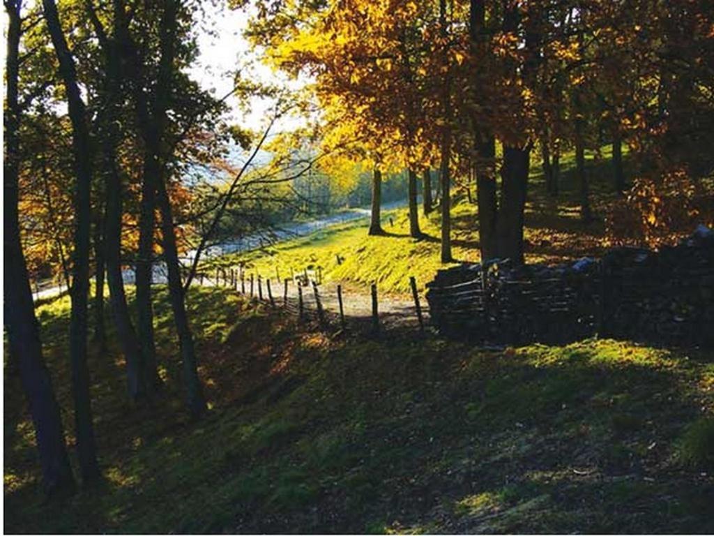 Chambre D'Hotes Les Champarts Tourville-la-Chapelle ภายนอก รูปภาพ